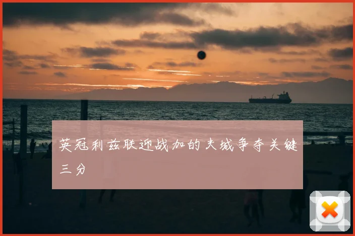 英冠利兹联迎战加的夫城争夺关键三分