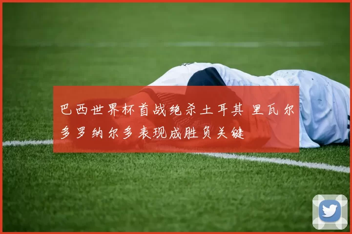 巴西世界杯首战绝杀土耳其 里瓦尔多罗纳尔多表现成胜负关键