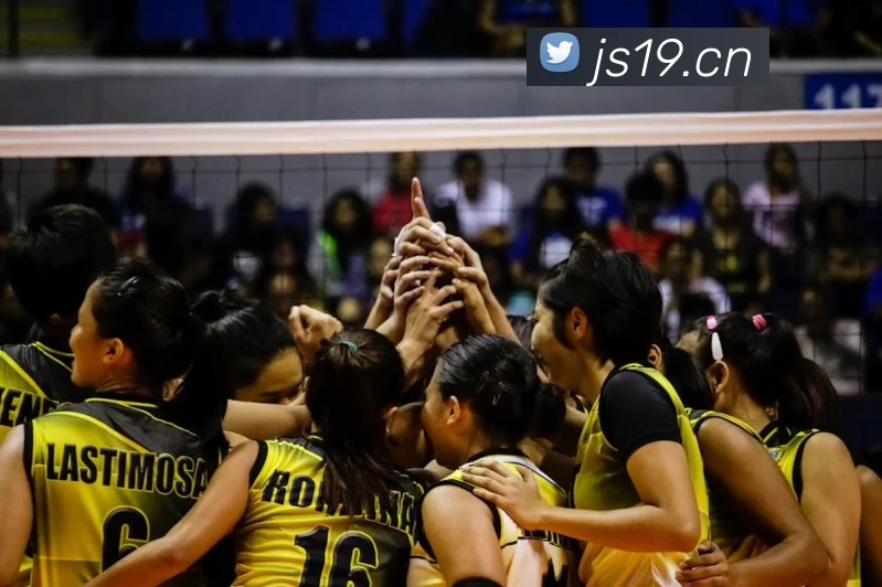 九游体育app官网入口直达APP 封面图